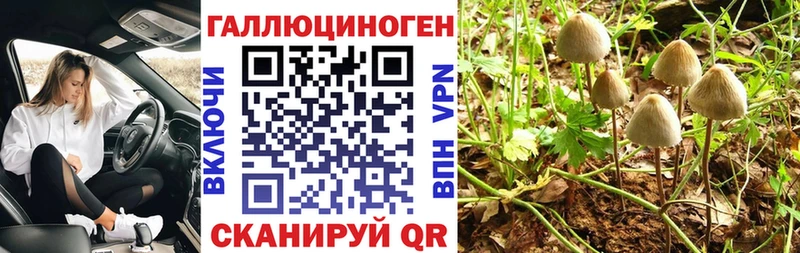 Галлюциногенные грибы мицелий  Приозерск 